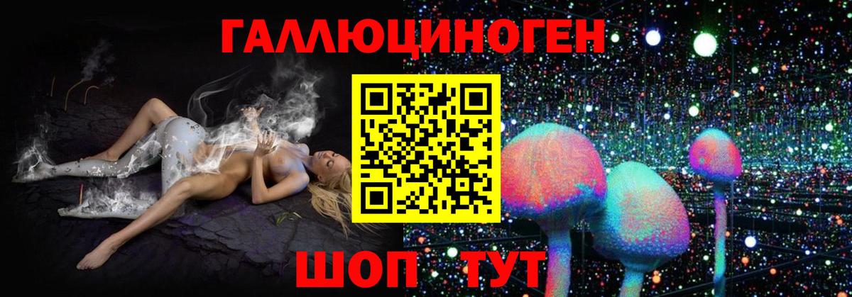 где купить наркотик  Вход с VPN  Фролово  Псилоцибиновые грибы MAGIC MUSHROOMS 
